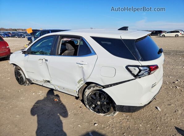 3GNAXTEG0PS202631 2023 CHEVROLET EQUINOX Белый Задняя левая четверть