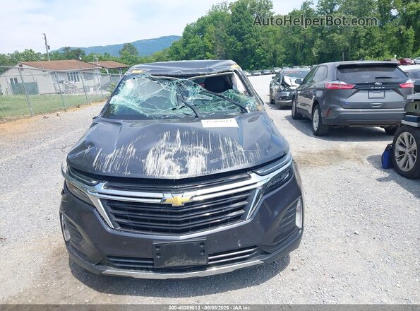 3GNAXUEG0PS133218 2023 CHEVROLET EQUINOX Gray უკანა სალონის ხედი
