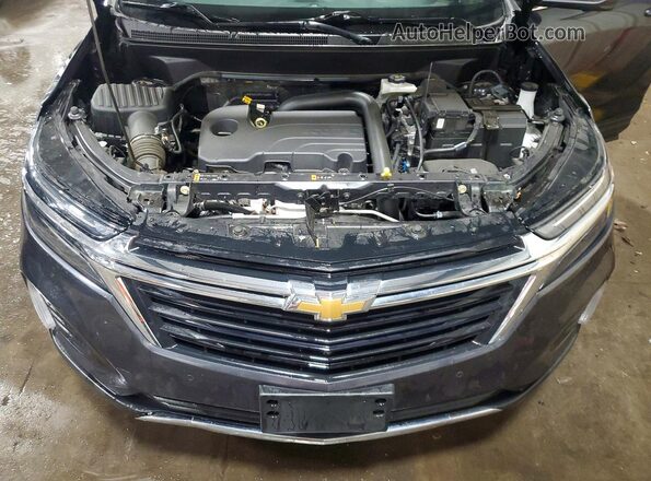 3GNAXUEG2PS142583 2023 CHEVROLET EQUINOX Серый Вид задней части салона