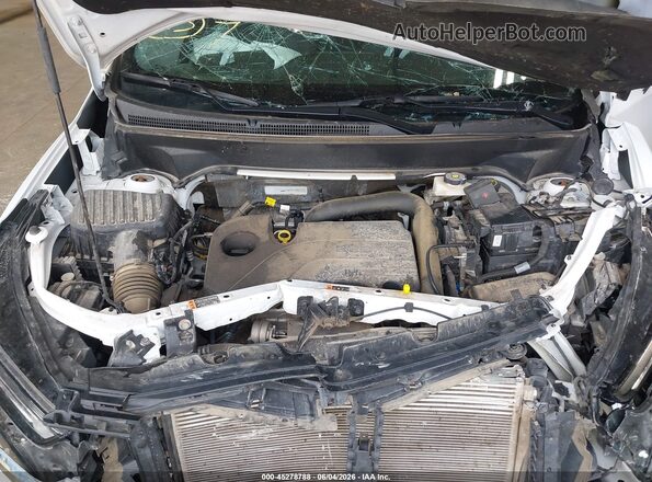 3GNAXUEGXPS208409 2023 CHEVROLET EQUINOX Белый Вид сзади