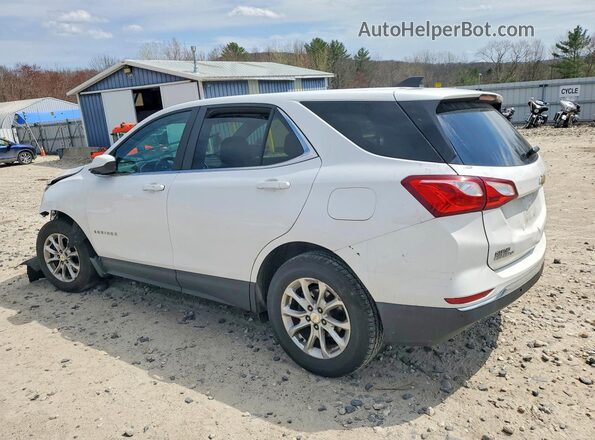 3GNAXUEV3ML393116 2021 CHEVROLET EQUINOX Белый 