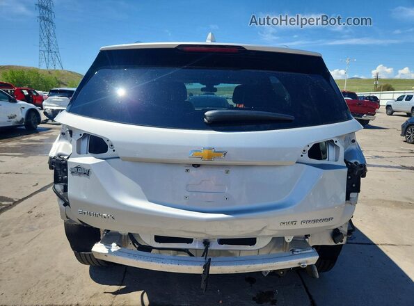 3GNAXXEV7MS133812 2021 CHEVROLET EQUINOX Silver უკანა ხედი