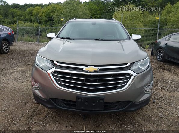 3GNAXYEX0KS585279 2019 CHEVROLET EQUINOX Gold უკანა სალონის ხედი