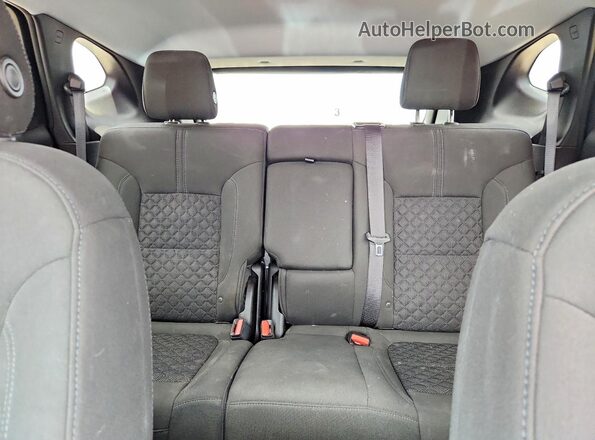 3GNKBCRS6LS585129 2020 CHEVROLET BLAZER Red Rear seats view