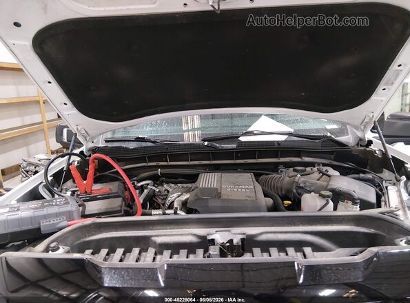 3GTUUFE81SG123005 2025 GMC SIERRA Белый Вид сзади