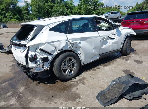 3KMJACDE3SE021067 2025 HYUNDAI TUCSON White უკანა მარჯვენა