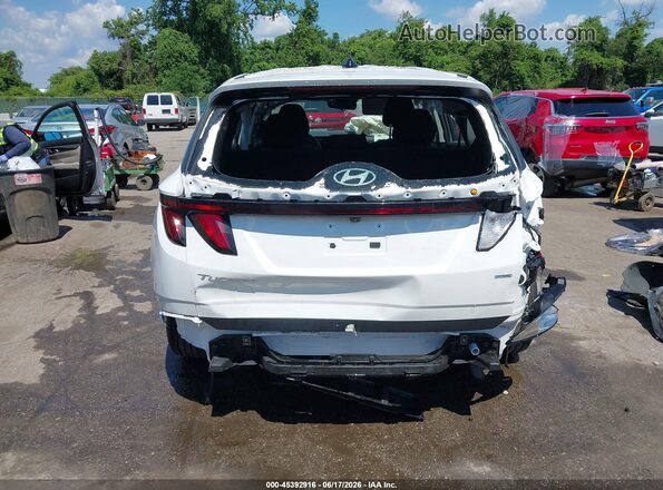 3KMJACDE3SE021067 2025 HYUNDAI TUCSON White 