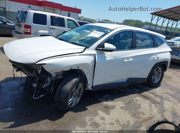 3KMJACDE3SE021067 2025 HYUNDAI TUCSON White 