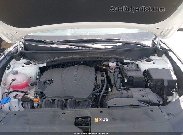 3KMJBCDEXSE006837 2025 HYUNDAI TUCSON White Հետևի տեսք
