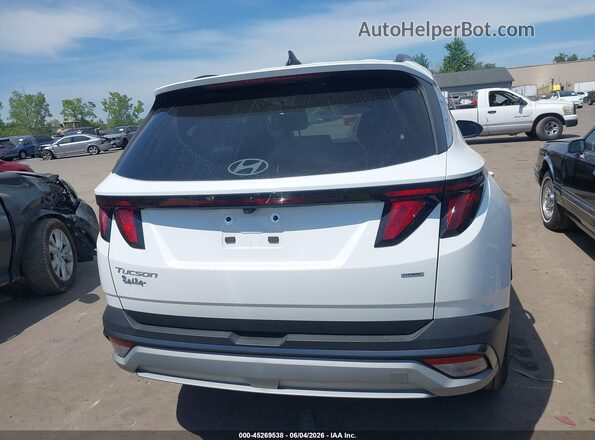 3KMJBCDEXSE006837 2025 HYUNDAI TUCSON White 
