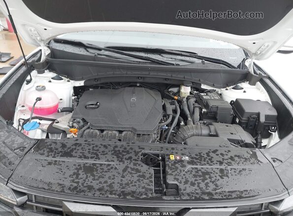 3KMJCCDE2SE022138 2025 HYUNDAI TUCSON White Вид ззаду