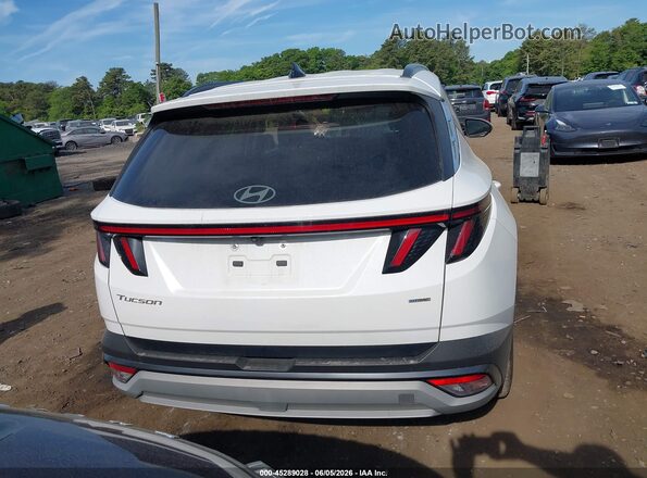 3KMJCCDE8SE007627 2025 HYUNDAI TUCSON White 