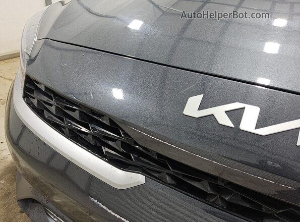 3KPF24AD4RE780991 2024 KIA FORTE Gray 