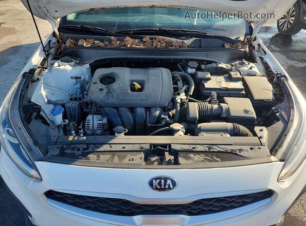 3KPF24AD7KE099729 2019 KIA FORTE White Սալոնի հետևի տեսք