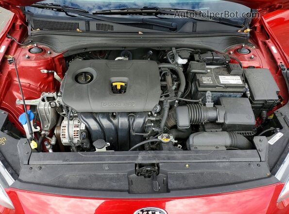 3KPF24AD8ME383793 2021 KIA FORTE Red Սալոնի հետևի տեսք