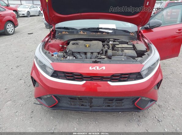 3KPF54AD9RE806427 2024 KIA FORTE Red Widok z tyłu