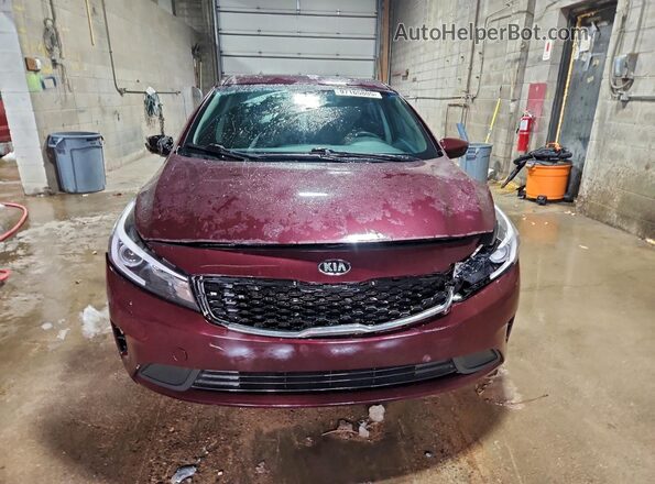 3KPFK4A74HE014333 2017 KIA FORTE Темно-бордовый Вид спереди