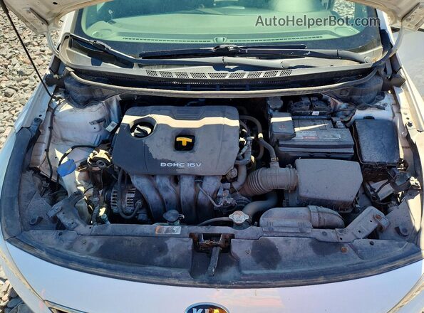3KPFK4A75HE065159 2017 KIA FORTE White 