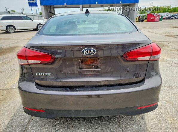 3KPFL4A71JE204366 2018 KIA FORTE Brown Widok z tyłu