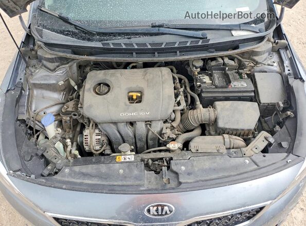 3KPFL4A75HE030036 2017 KIA FORTE Gray Vista interior trasera
