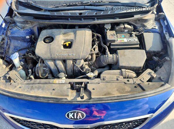 3KPFL4A75HE072965 2017 KIA FORTE Blue Rear interior view