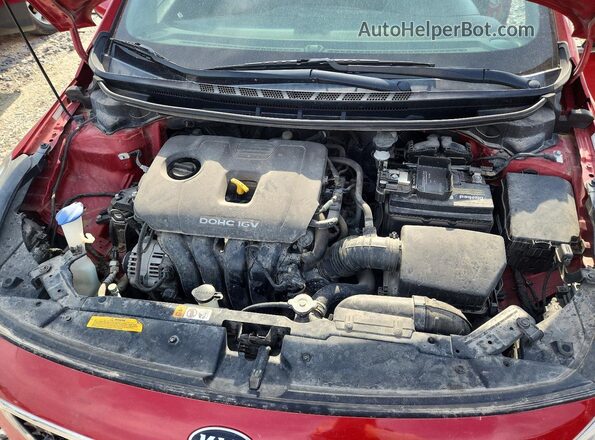 3KPFL4A79HE062780 2017 KIA FORTE Красный Вид задней части салона