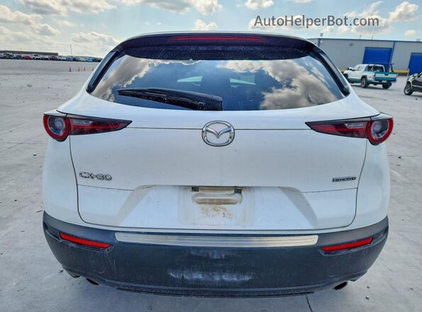 3MVDMABL8MM319473 2021 MAZDA CX-30 White Rear view