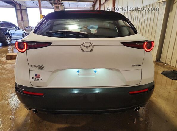 3MVDMBAM0RM655612 2024 MAZDA CX-30 White Widok z tyłu