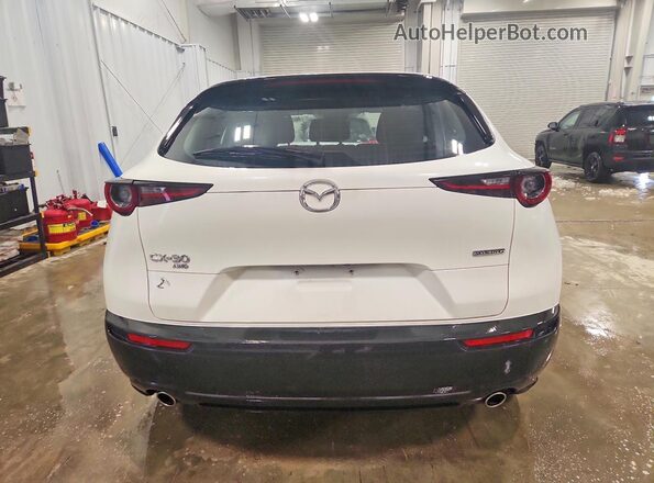 3MVDMBAM4SM783034 2025 MAZDA CX-30 Белый Вид сзади