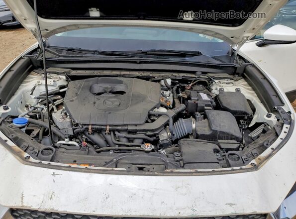 3MVDMBAM8RM632529 2024 MAZDA CX30 White Սալոնի հետևի տեսք