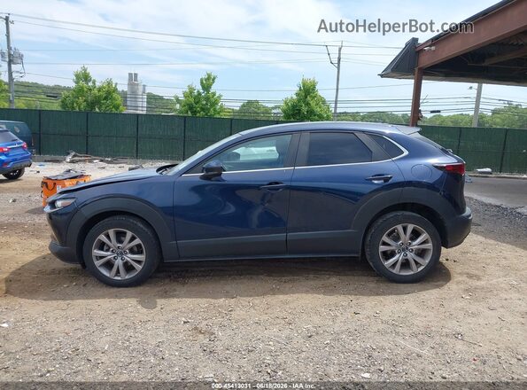 3MVDMBBL8MM235398 2021 MAZDA CX-30 Blue Widok wnętrza 360 stopni