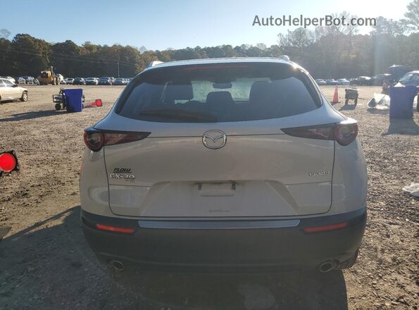 3MVDMBBM0RM611723 2024 MAZDA CX-30 White Widok z tyłu