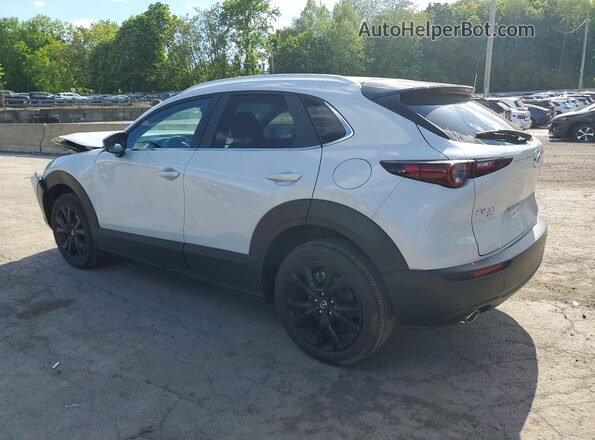 3MVDMBBM4RM676686 2024 MAZDA CX-30 Silver Tył lewy