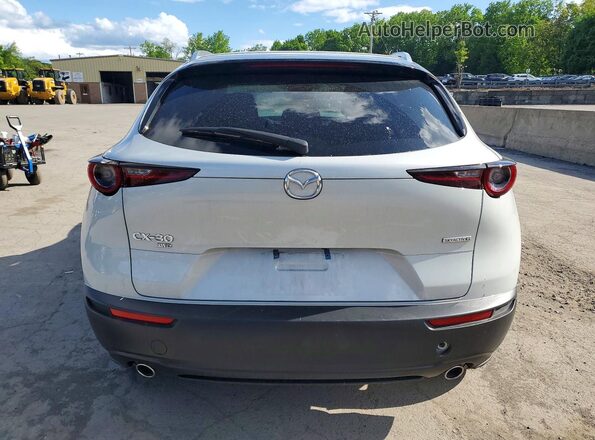 3MVDMBBM4RM676686 2024 MAZDA CX-30 Silver Widok z tyłu