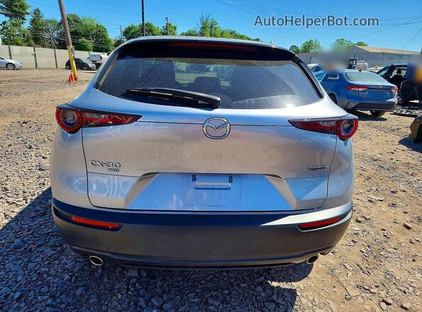 3MVDMBCL2MM215436 2021 MAZDA CX-30 Silver Հետևի տեսք