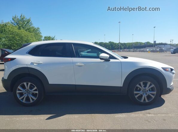 3MVDMBCL2MM248341 2021 MAZDA CX-30 White უკანა სალონის ხედი