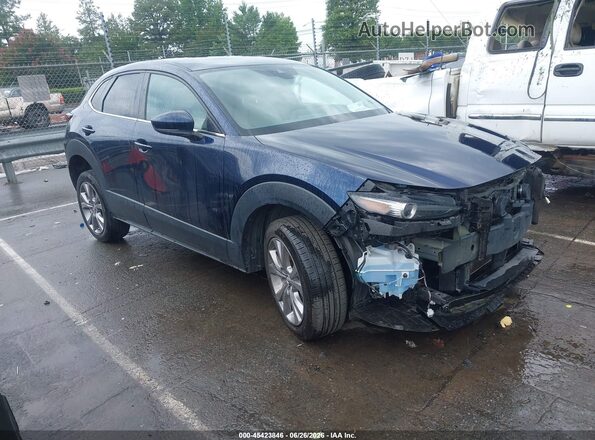 3MVDMBCL3LM129535 2020 MAZDA CX-30 Blue Vista interior trasera