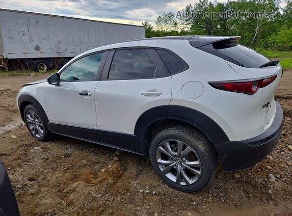 3MVDMBCL6MM240257 2021 MAZDA CX-30 Белый Задняя левая четверть
