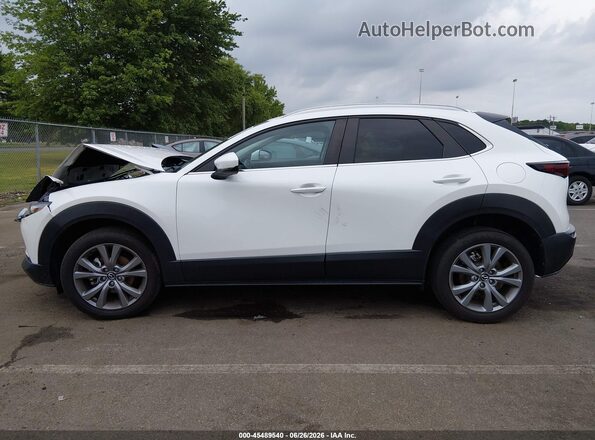 3MVDMBCM2PM561628 2023 MAZDA CX-30 White Widok wnętrza 360 stopni