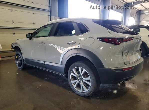 3MVDMBCM7SM777631 2025 MAZDA CX-30 Gray Trasero izquierdo