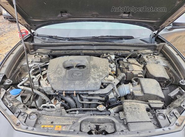 3MVDMBCM9PM522504 2023 MAZDA CX-30 Черный Вид задней части салона