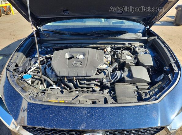 3MVDMBDM0PM555485 2023 MAZDA CX-30 Синий Вид задней части салона