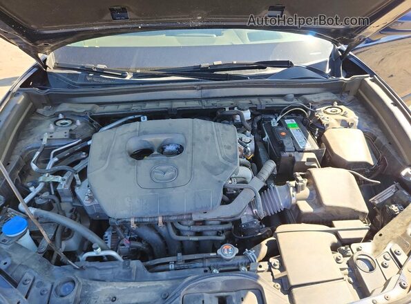3MVDMBDM6PM517890 2023 MAZDA CX-30 Blue Vista interior trasera