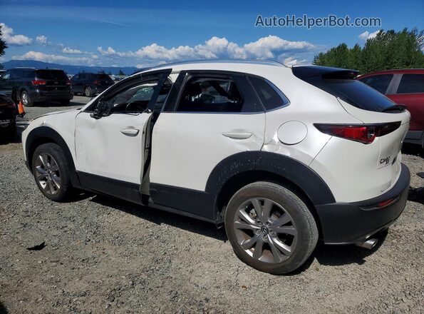 3MVDMBDM7MM218033 2021 MAZDA CX-30 White Задня ліва чверть