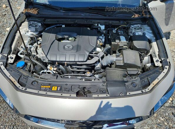 3MZBPACM8SM475563 2025 MAZDA 3 Tan Սալոնի հետևի տեսք