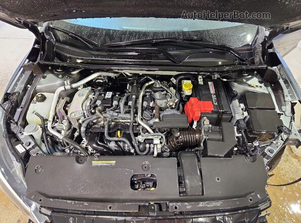 3N1AB8CV2SY303541 2025 NISSAN SENTRA Серый 