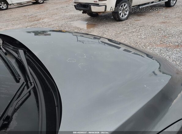 3N1AB8CV7PY282239 2023 NISSAN SENTRA Серый 