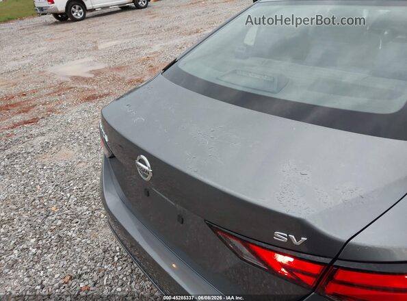 3N1AB8CV7PY282239 2023 NISSAN SENTRA Серый 