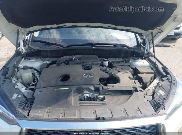3PCAJ5BAXMF121923 2021 INFINITI QX50 Белый Вид сзади