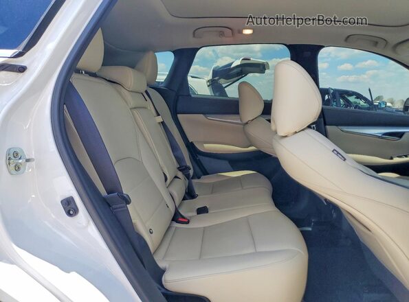 3PCAJ5CB1MF127178 2021 INFINITI QX50 Белый Вид задней части салона